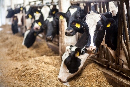 I think AETA is the reason our industry is recognized as a leader in scientific innovation and animal husbandry.