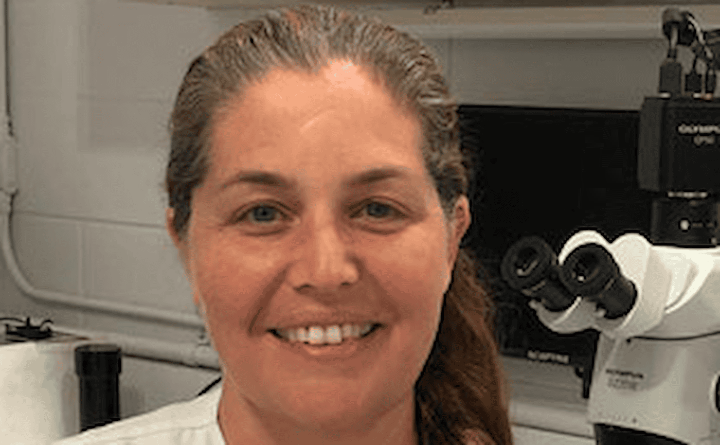 Daniela Demetrio, DVM