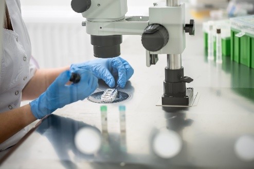 AETA helps guarantee that the legacy of superior genetics is carried on effectively and responsibly.