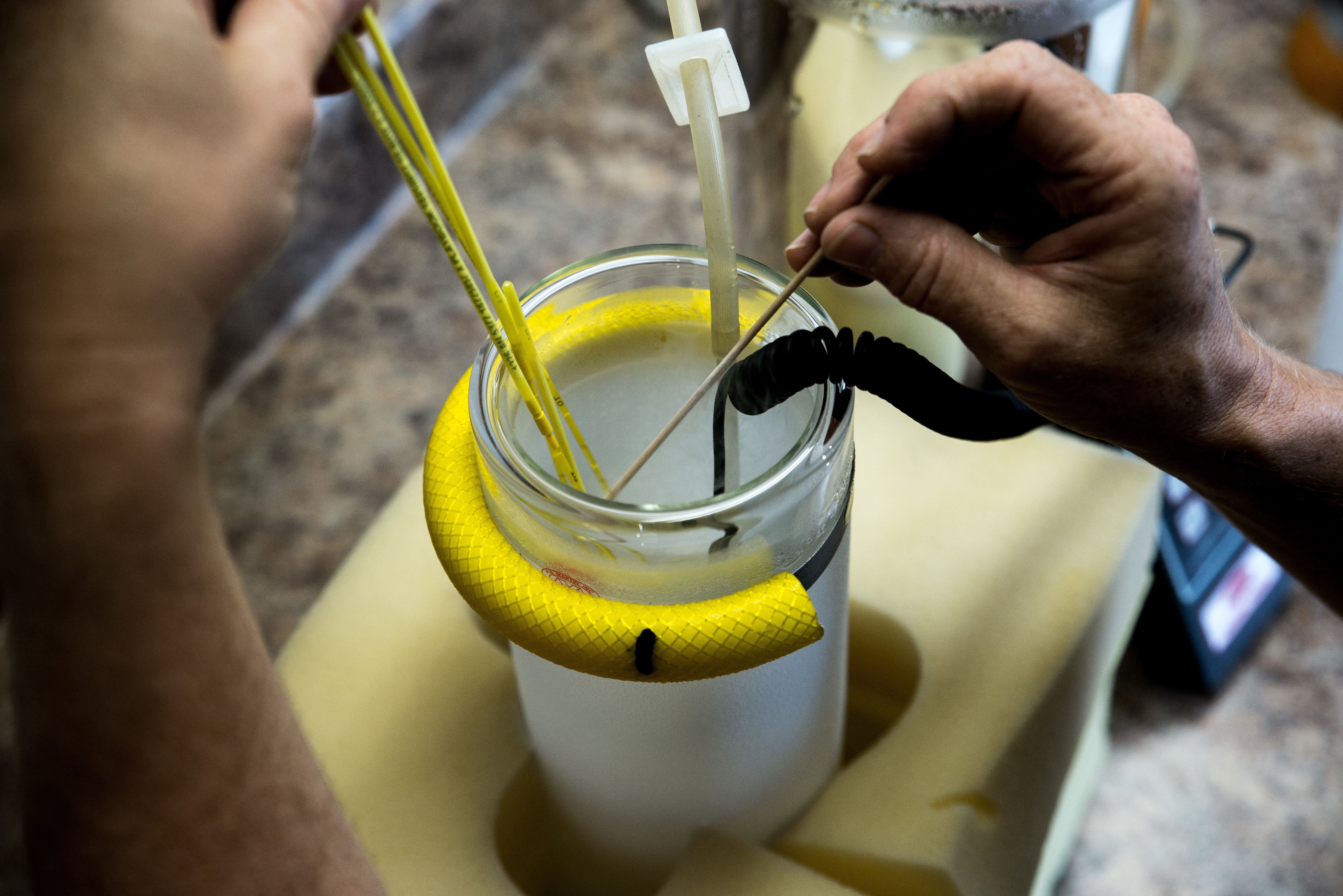 AETA Membership Directory 