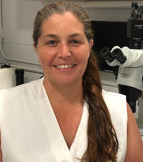 Dr. Daniela Demetrio