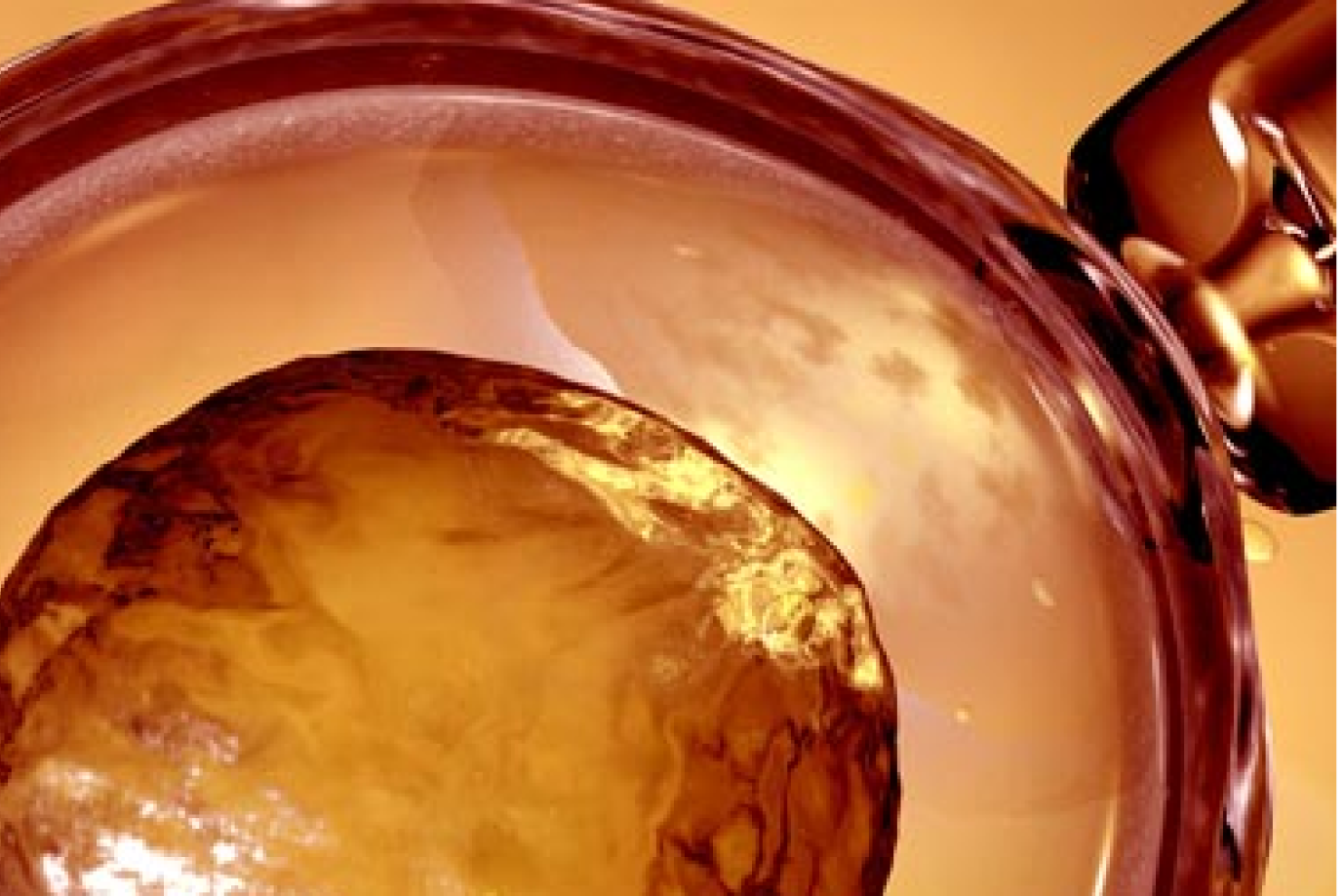 A Closer Look Newsletter