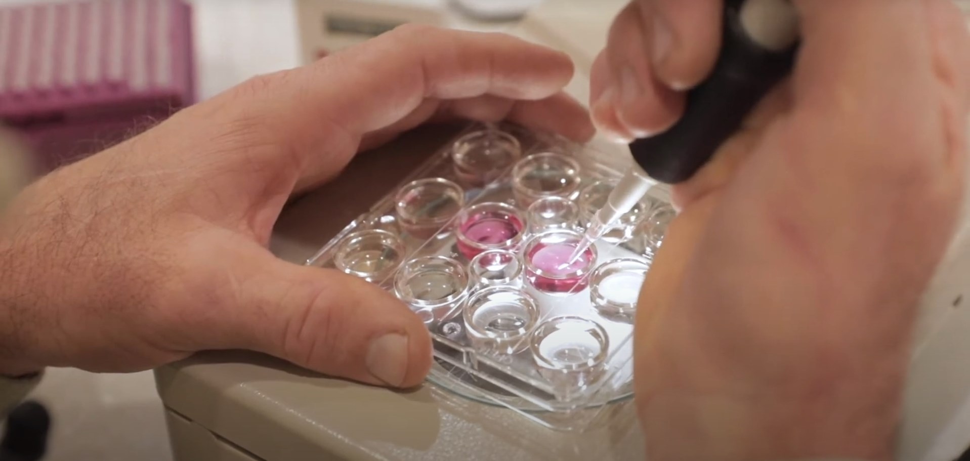 U.S. Embryo Transfer Quality Certification