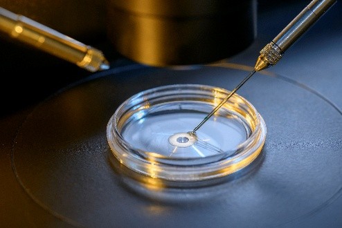 AETA provides the scientific grounding that separates a successful embryo transfer program from a mediocre one.
