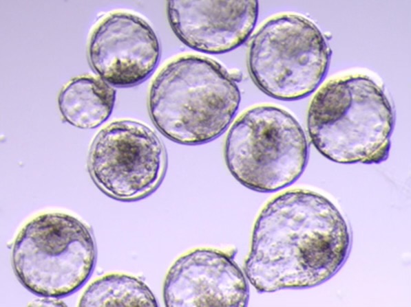 Submit your annual data by March 1!